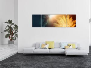 Obraz - Pokój (170x50 cm)