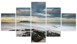 Obraz - Robben Island (125x70 cm)