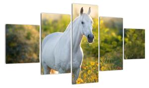 Obraz białego konia na łące (125x70 cm)