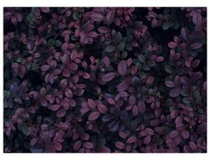 Obraz ciemnoczerwonych liści (70x50 cm)