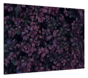 Obraz ciemnoczerwonych liści (70x50 cm)