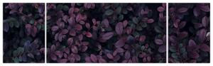 Obraz ciemnoczerwonych liści (170x50 cm)