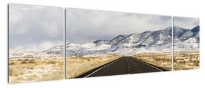 Obraz - Great Basin, Nevada, USA (170x50 cm)