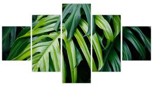 Obraz - Tropikalne liście (125x70 cm)