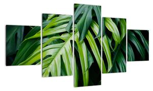 Obraz - Tropikalne liście (125x70 cm)