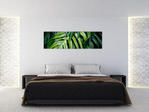 Obraz - Tropikalne liście (170x50 cm)
