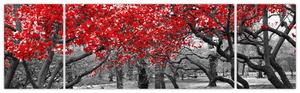 Obraz - Czerwone drzewa, Central Park, New York (170x50 cm)