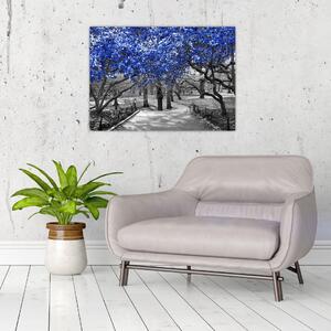 Obraz - Niebieskie drzewa, Central Park, New York (70x50 cm)