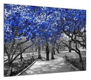 Obraz - Niebieskie drzewa, Central Park, New York (70x50 cm)