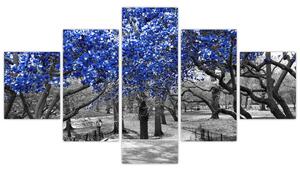 Obraz - Niebieskie drzewa, Central Park, New York (125x70 cm)