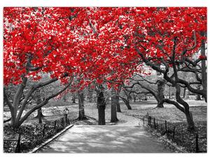 Obraz - Czerwone drzewa, Central Park, New York (70x50 cm)