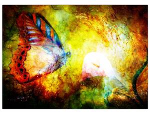 Obraz - Kosmiczny motyl (70x50 cm)