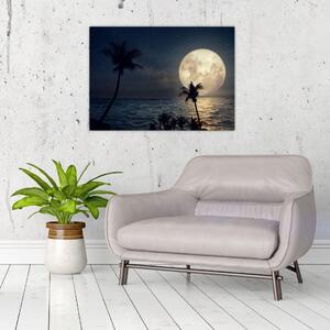 Obraz - Plaża pod pełnią księżyca (70x50 cm)