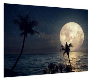 Obraz - Plaża pod pełnią księżyca (70x50 cm)