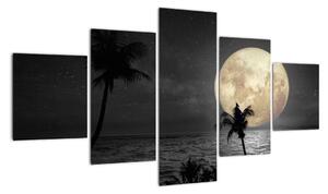 Obraz - Plaża pod pełnią księżyca w odcieniach szarości (125x70 cm)