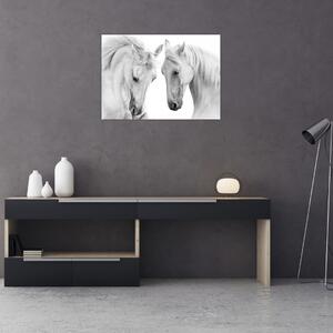 Obraz białych koni (70x50 cm)