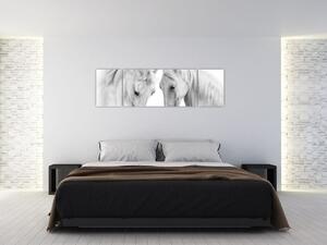 Obraz białych koni (170x50 cm)