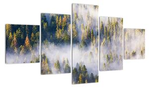 Obraz drzew we mgle (125x70 cm)