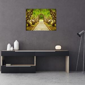 Obraz - Żywy tunel plumerii (70x50 cm)
