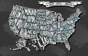 Obraz współczesna mapa USA
