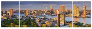 Obraz - Panorama Rotterdamu, Holandia (170x50 cm)