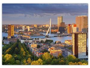 Obraz - Panorama Rotterdamu, Holandia (70x50 cm)
