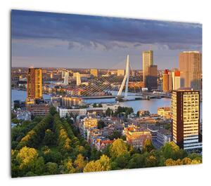 Obraz - Panorama Rotterdamu, Holandia (70x50 cm)