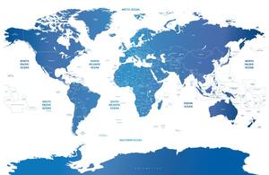 Obraz mapa świata z poszczególnymi krajami