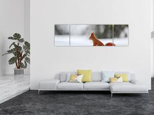 Obraz wiewiórki (170x50 cm)