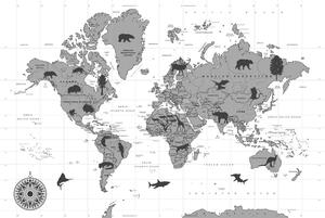 Obraz na korku mapa ze zwierzętami w wersji czarno-białej