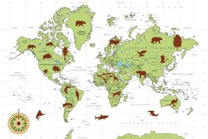 Obraz na korku mapa ze zwierzętami