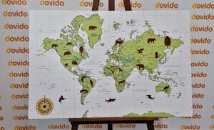 Obraz na korku mapa ze zwierzętami
