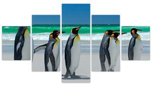 Obraz - Grupa Pingwinów królewskich (125x70 cm)