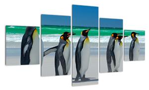 Obraz - Grupa Pingwinów królewskich (125x70 cm)