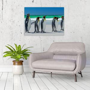 Obraz - Grupa Pingwinów królewskich (70x50 cm)