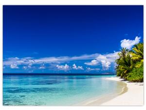 Obraz tropikalnej plaży (70x50 cm)