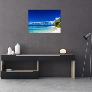 Obraz tropikalnej plaży (70x50 cm)