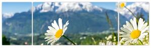 Obraz - Wiosna w Alpach (170x50 cm)