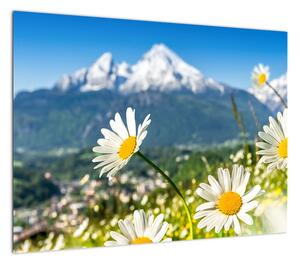Obraz - Wiosna w Alpach (70x50 cm)