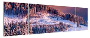 Obraz zimowego krajobrazu (170x50 cm)