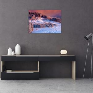 Obraz zimowego krajobrazu (70x50 cm)