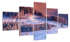 Obraz zimowego krajobrazu (125x70 cm)