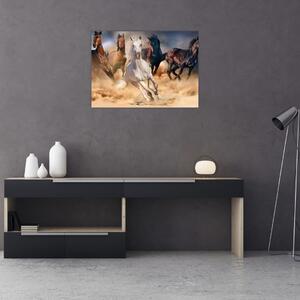 Obraz - Konie na pustyni (70x50 cm)