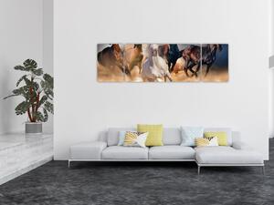 Obraz - Konie na pustyni (170x50 cm)