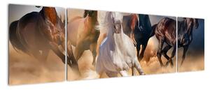 Obraz - Konie na pustyni (170x50 cm)