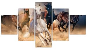 Obraz - Konie na pustyni (125x70 cm)