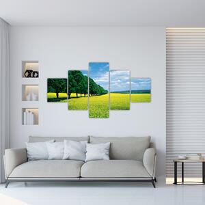 Obraz pola z aleją (125x70 cm)