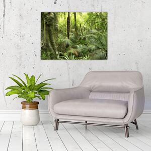 Obraz tropikalnego lasu deszczowego (70x50 cm)