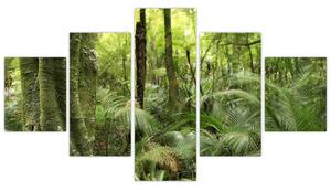 Obraz tropikalnego lasu deszczowego (125x70 cm)