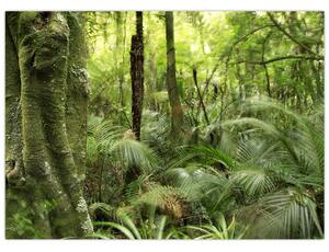 Obraz tropikalnego lasu deszczowego (70x50 cm)